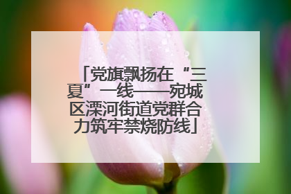 党旗飘扬在“三夏”一线——宛城区溧河街道党群合力筑牢禁烧防线