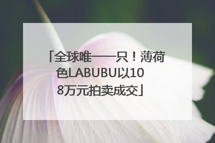 全球唯一一只！薄荷色LABUBU以108万元拍卖成交