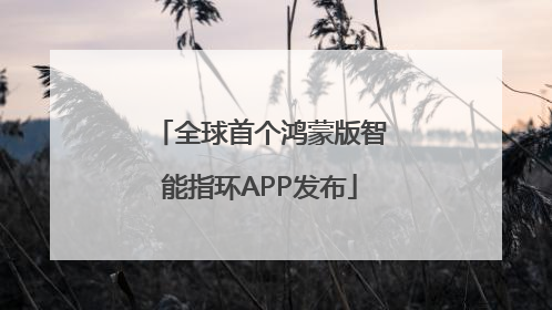 全球首个鸿蒙版智能指环APP发布