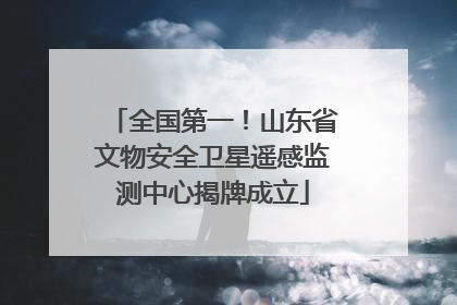 全国第一！山东省文物安全卫星遥感监测中心揭牌成立