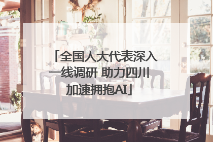全国人大代表深入一线调研 助力四川加速拥抱AI