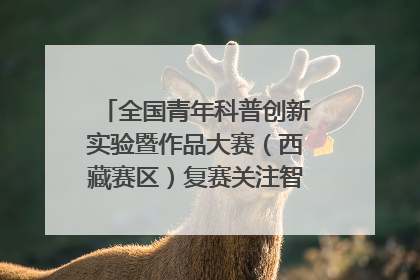 全国青年科普创新实验暨作品大赛（西藏赛区）复赛关注智慧环保等主题