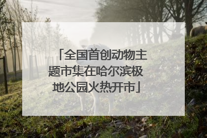 全国首创动物主题市集在哈尔滨极地公园火热开市