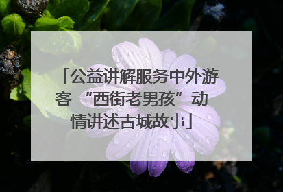 公益讲解服务中外游客 “西街老男孩”动情讲述古城故事