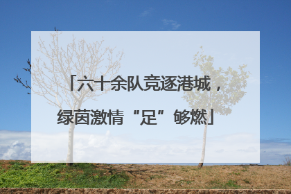 六十余队竞逐港城，绿茵激情“足”够燃