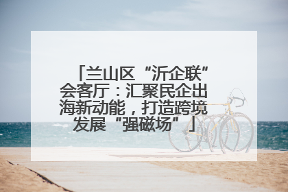 兰山区“沂企联”会客厅：汇聚民企出海新动能，打造跨境发展“强磁场”
