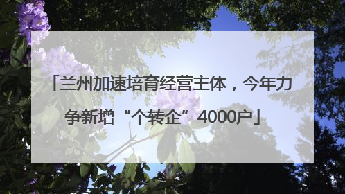 兰州加速培育经营主体，今年力争新增“个转企”4000户