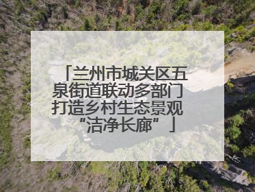 兰州市城关区五泉街道联动多部门打造乡村生态景观“洁净长廊”