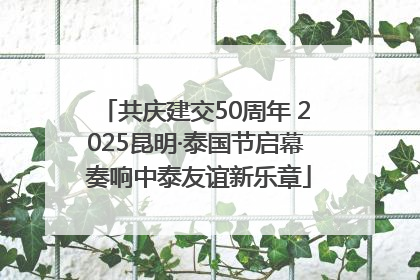 共庆建交50周年 2025昆明·泰国节启幕 奏响中泰友谊新乐章
