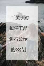 关于对拟任干部进行公示的公告