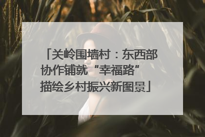 关岭围墙村：东西部协作铺就“幸福路” 描绘乡村振兴新图景
