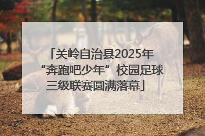 关岭自治县2025年“奔跑吧少年”校园足球三级联赛圆满落幕