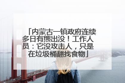内蒙古一镇政府连续多日有熊出没！工作人员：它没攻击人，只是在垃圾桶翻找食物