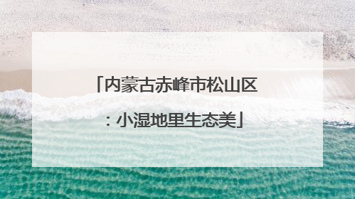 内蒙古赤峰市松山区：小湿地里生态美