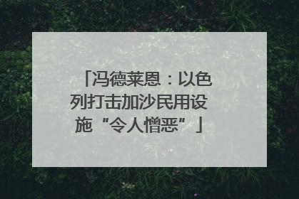 冯德莱恩：以色列打击加沙民用设施“令人憎恶”