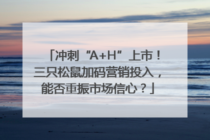 冲刺“A+H”上市！三只松鼠加码营销投入，能否重振市场信心？