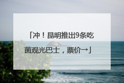 冲！昆明推出9条吃菌观光巴士，票价→