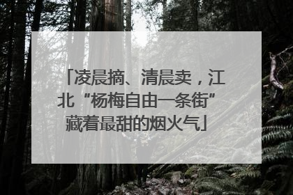 凌晨摘、清晨卖，江北“杨梅自由一条街”藏着最甜的烟火气
