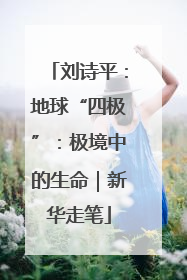 刘诗平：地球“四极”：极境中的生命｜新华走笔