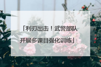 利刃出击！武警部队开展多课目强化训练