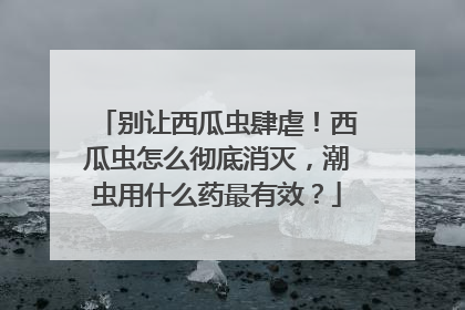 别让西瓜虫肆虐！西瓜虫怎么彻底消灭，潮虫用什么药最有效？