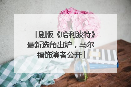 剧版《哈利波特》最新选角出炉，马尔福饰演者公开