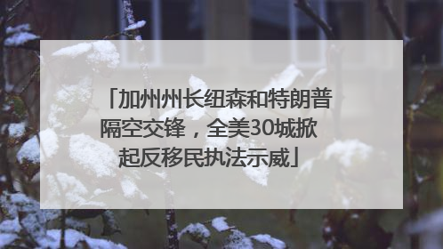 加州州长纽森和特朗普隔空交锋，全美30城掀起反移民执法示威