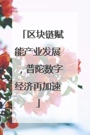 区块链赋能产业发展，普陀数字经济再加速