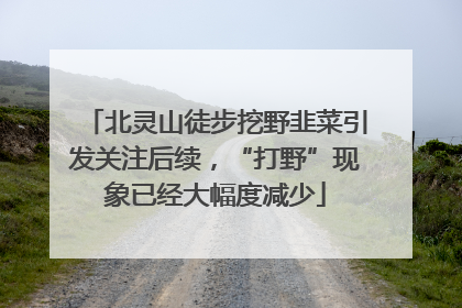 北灵山徒步挖野韭菜引发关注后续，“打野”现象已经大幅度减少