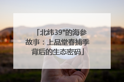 北纬39°的海参故事：上品堂春捕季背后的生态密码