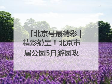 北京号最精彩｜精彩纷呈！北京市属公园5月游园攻略来啦→