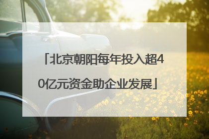 北京朝阳每年投入超40亿元资金助企业发展