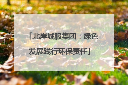 北岸城服集团：绿色发展践行环保责任