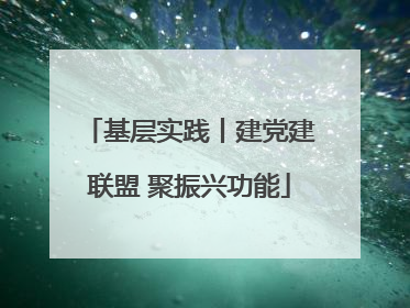 基层实践丨建党建联盟 聚振兴功能