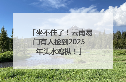 坐不住了！云南易门有人捡到2025年头水鸡枞！