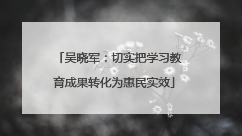 吴晓军：切实把学习教育成果转化为惠民实效