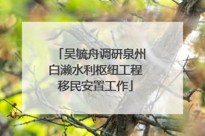 吴毓舟调研泉州白濑水利枢纽工程移民安置工作