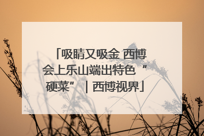 吸睛又吸金 西博会上乐山端出特色“硬菜”｜西博视界