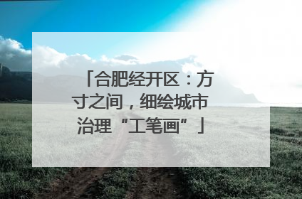 合肥经开区：方寸之间，细绘城市治理“工笔画”