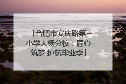 合肥市安庆路第三小学大杨分校：匠心筑梦 护航毕业季