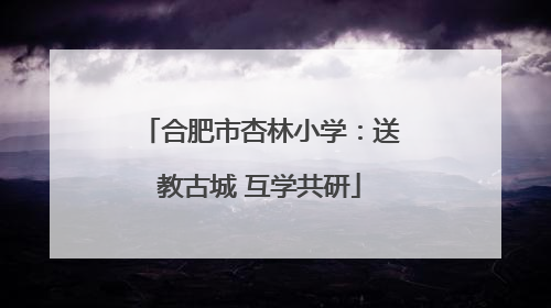合肥市杏林小学：送教古城 互学共研