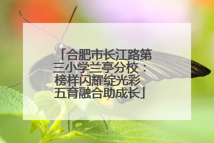 合肥市长江路第三小学兰亭分校：榜样闪耀绽光彩 五育融合助成长