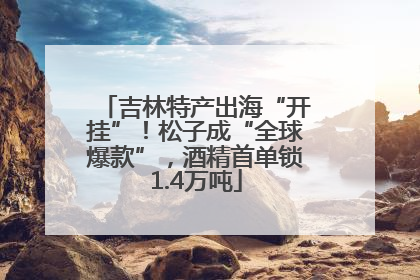 吉林特产出海“开挂”！松子成“全球爆款”，酒精首单锁1.4万吨