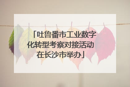 吐鲁番市工业数字化转型考察对接活动在长沙市举办