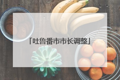吐鲁番市市长调整