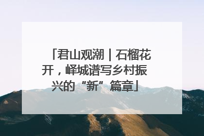 君山观潮｜石榴花开，峄城谱写乡村振兴的“新”篇章