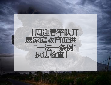 周迎春率队开展家庭教育促进“一法一条例”执法检查