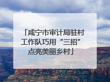 咸宁市审计局驻村工作队巧用“三招”点亮美丽乡村