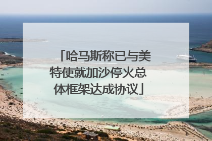 哈马斯称已与美特使就加沙停火总体框架达成协议