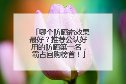 哪个防晒霜效果最好？推荐公认好用的防晒第一名，霸占回购榜首！